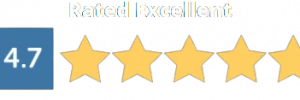 2 Dollar Essay Reviews